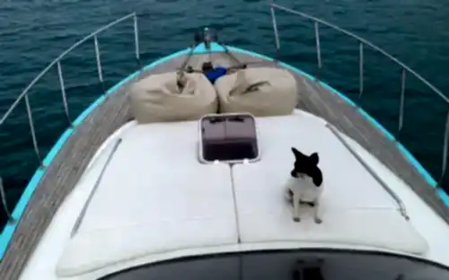 Antalya’da Günübirlik, 13 Metre Uzunluğunda, 8 Kişilik Ekonomik ve Konforlu Yat