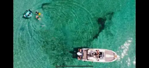 Kuşadası'nda Hız ve Konfor: Karnic Sürat Teknesi ile Denizde Özgürlük!